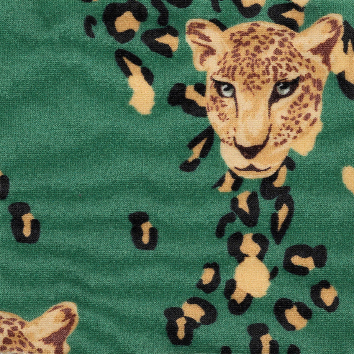 Image 07: Rio De Sol Bikini Bottoms Bottom Roar-Green California